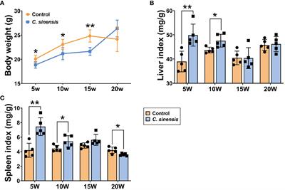 Multi-omics approaches reveal the molecular mechanisms underlying the interaction between Clonorchis sinensis and mouse liver